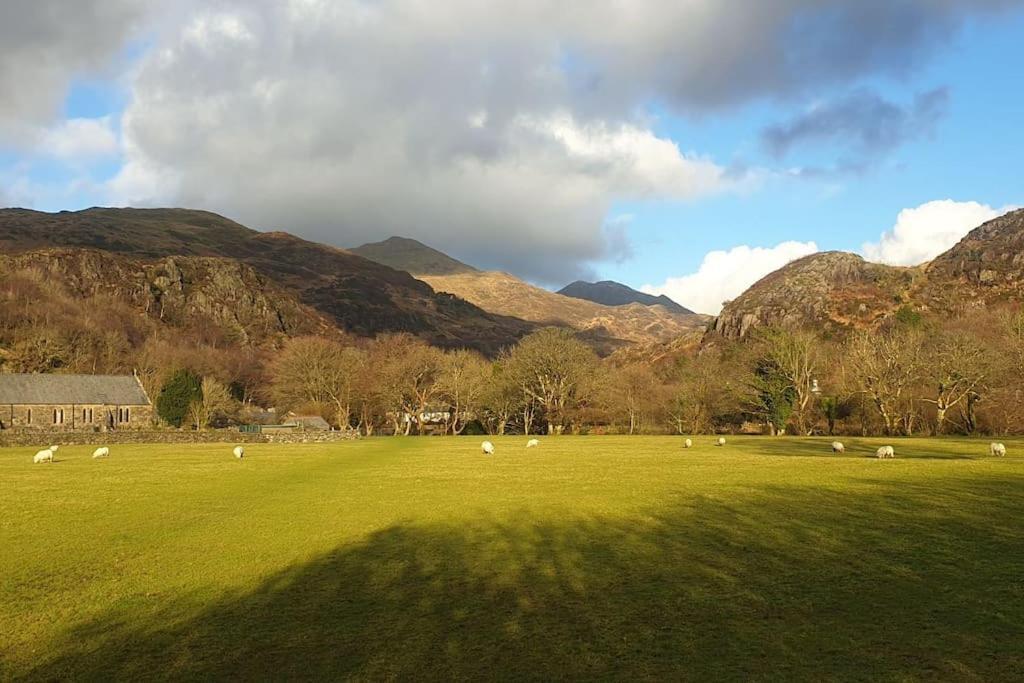 Cosy Cottage In Snowdonia Brynkir Bagian luar foto