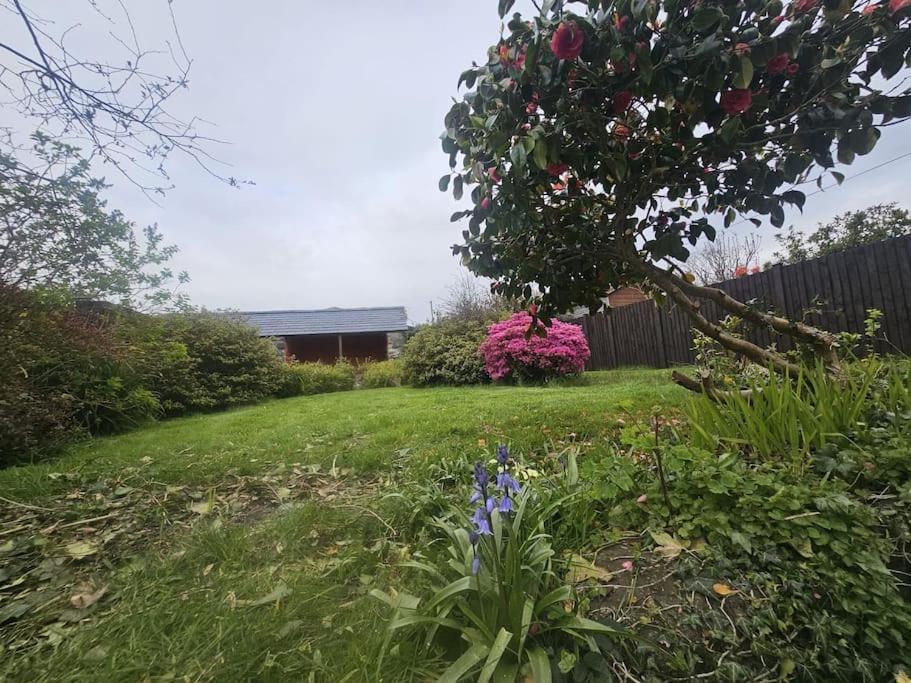Cosy Cottage In Snowdonia Brynkir Bagian luar foto